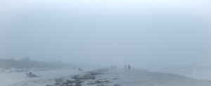 Plage panoramique dans un brouillard bleu, avec une bande d’algues sur le sable. Quelques rares personnes sont assises, tandis que des couples marchent au bord de l’eau.