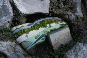 Chaussure de sport verte et blanche coincée entre des blocs de béton, envahie par de petites plantes, à Paris.